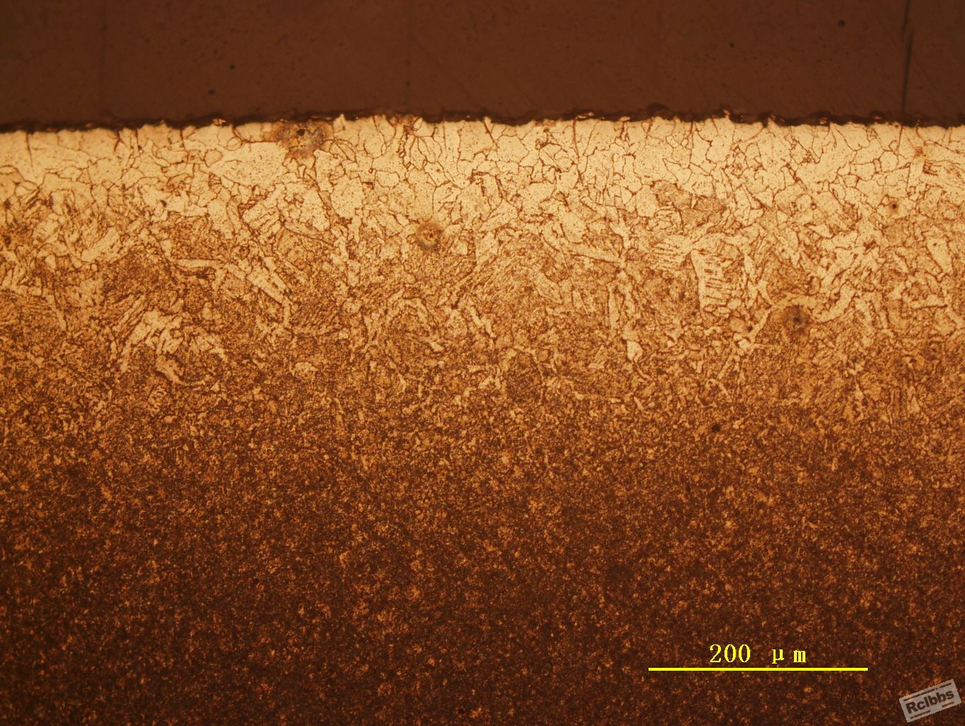Image1.jpg