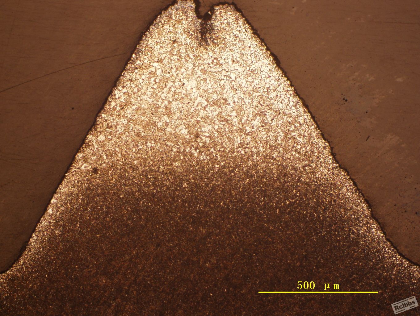 Image10.jpg