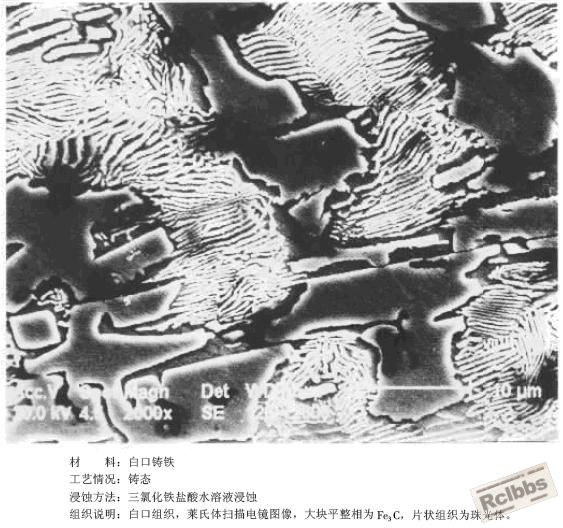 白口铁.JPG