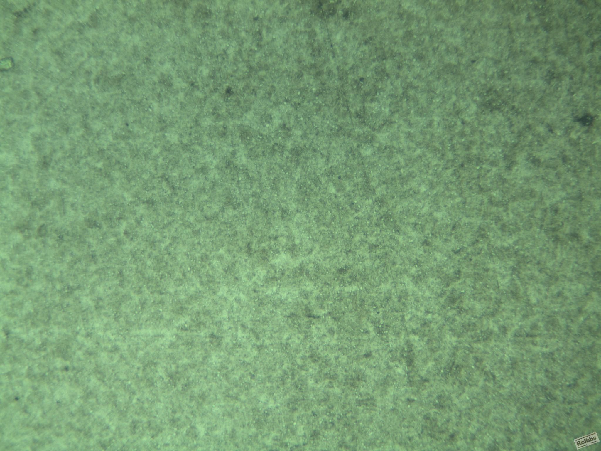 400X