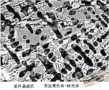 亚共晶组织.JPG