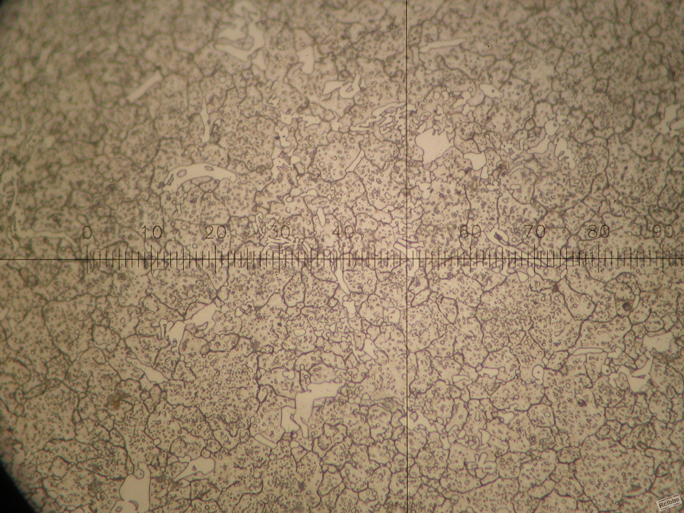 P1010004.JPG