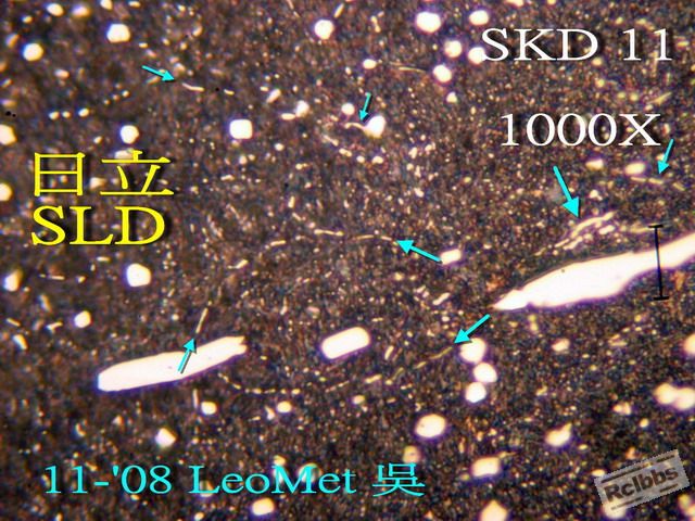 PB019164.jpg