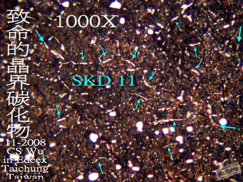 PB019176.jpg