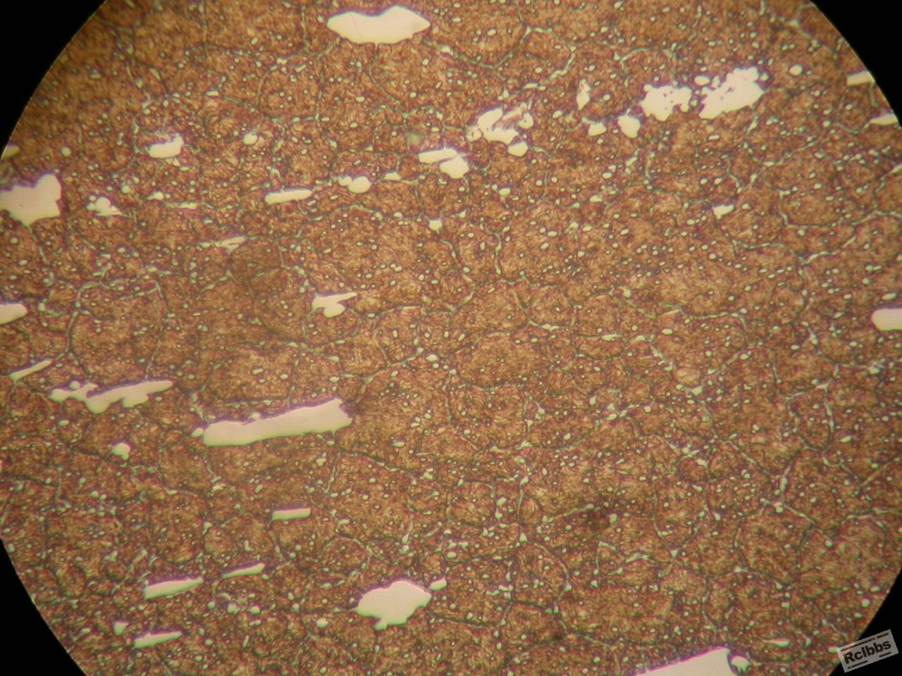 DSCN9194.JPG