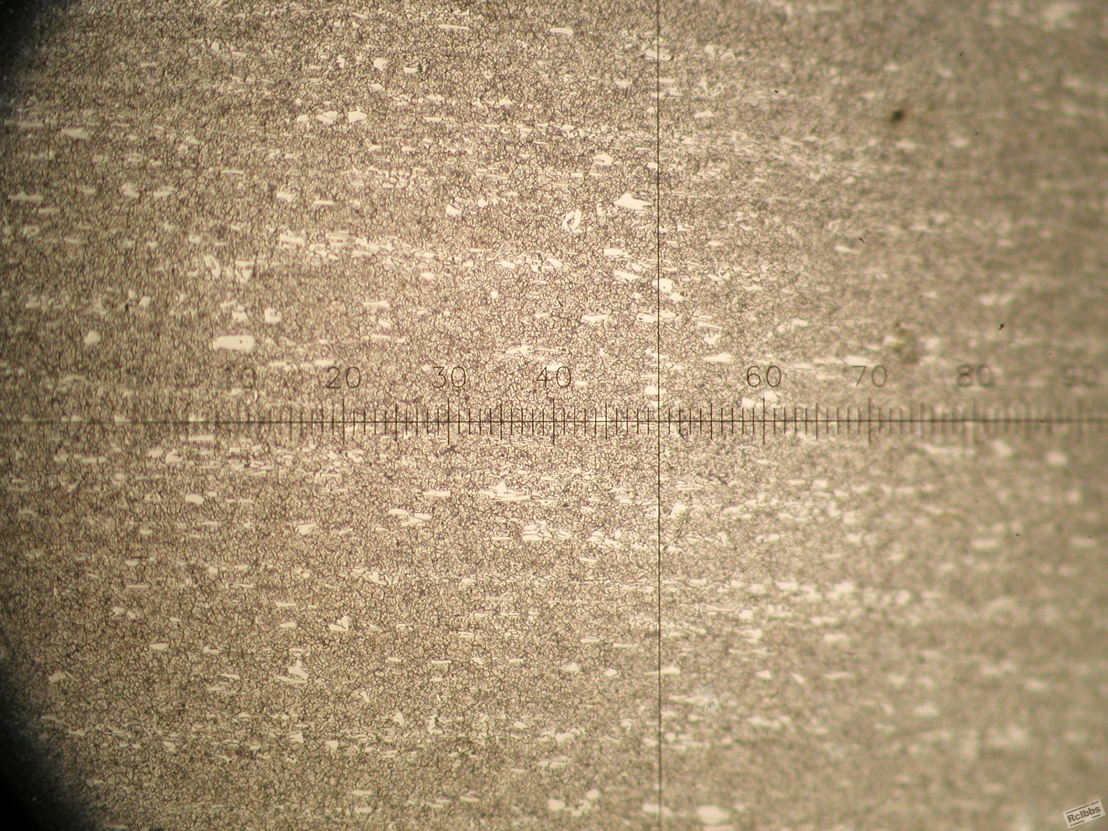 P1010005.JPG