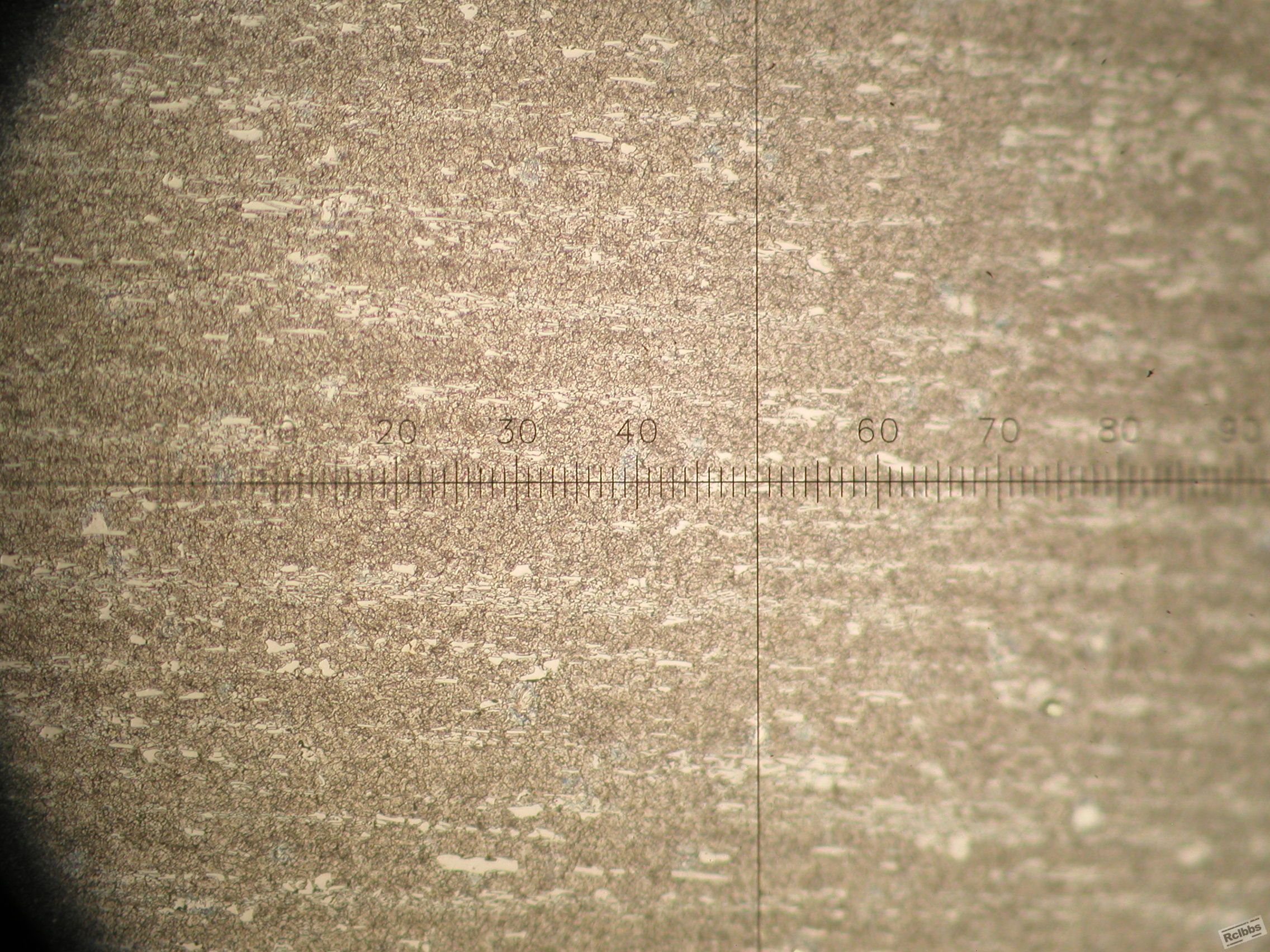 P1010001.JPG