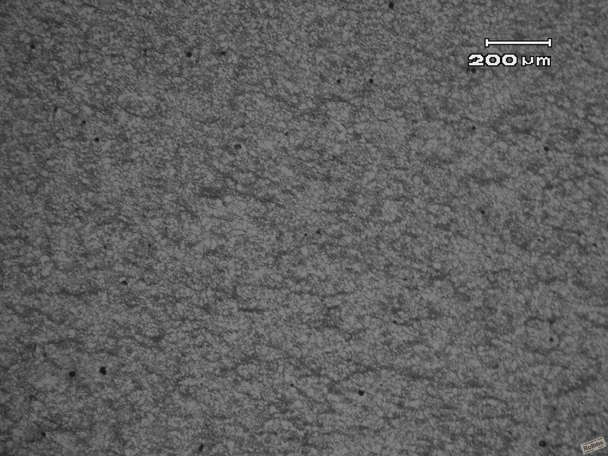 PA150001.JPG