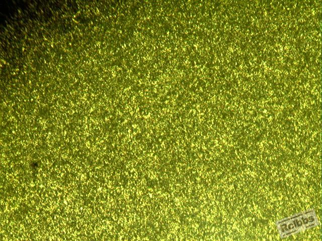 20101021164742_010_1304_1304.JPG