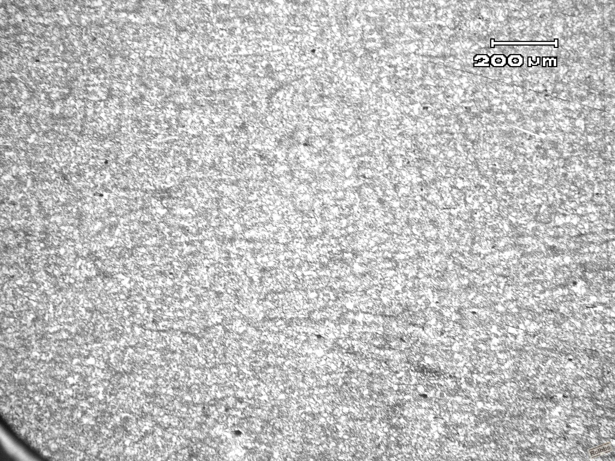 PA220009_副本.jpg