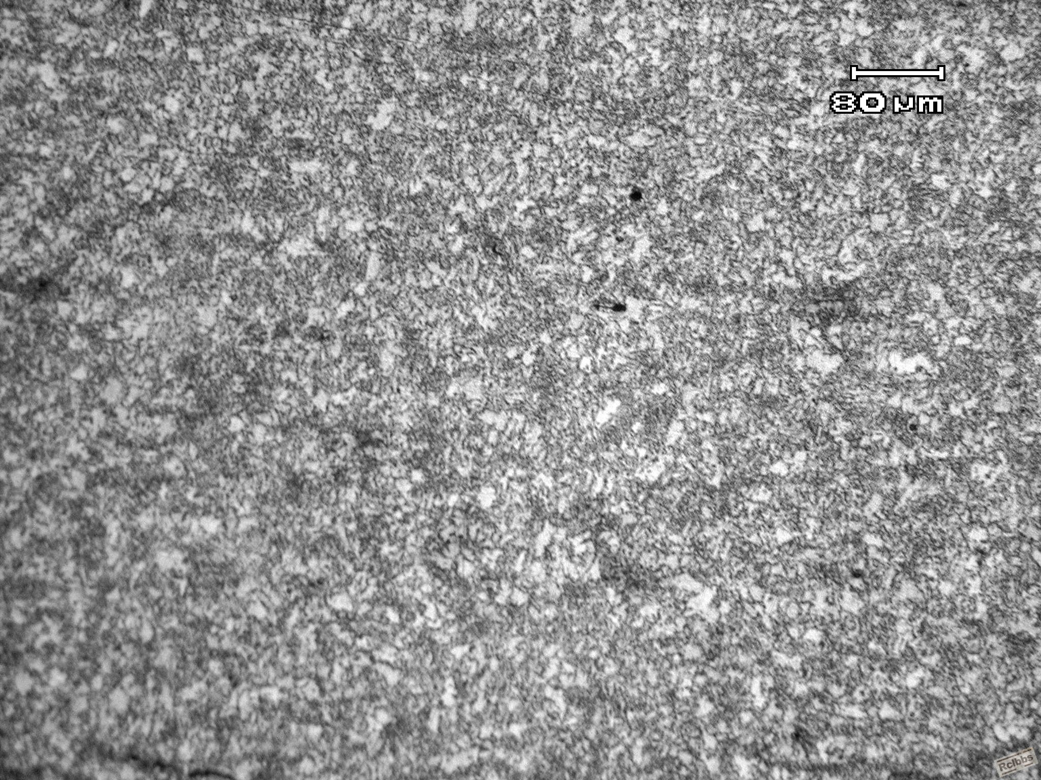 PA220008_副本.jpg