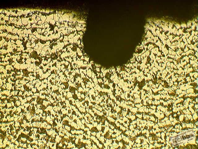 缺陷处100x