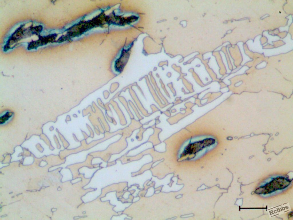s12-1000-10um-05.jpg