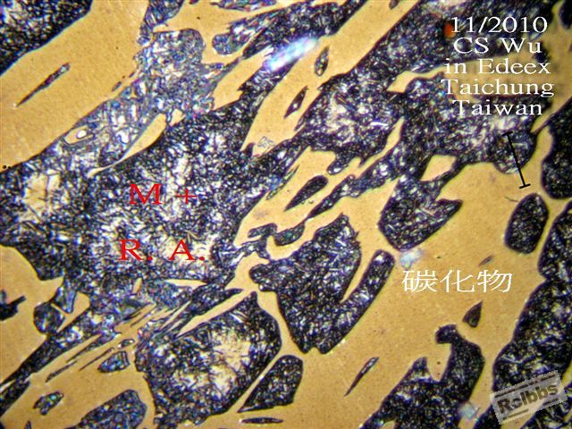 PB024955.jpg