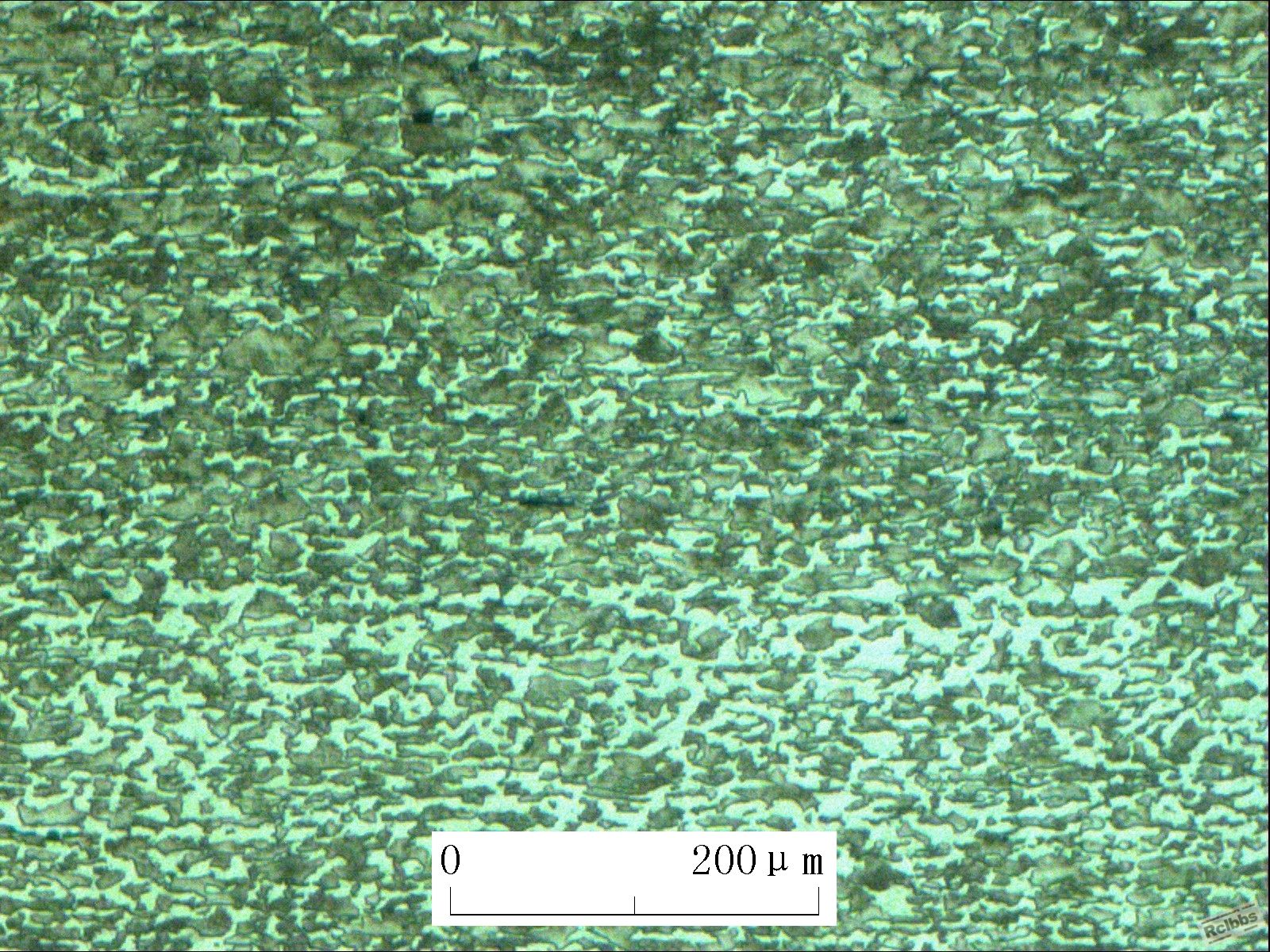 100-01.jpg