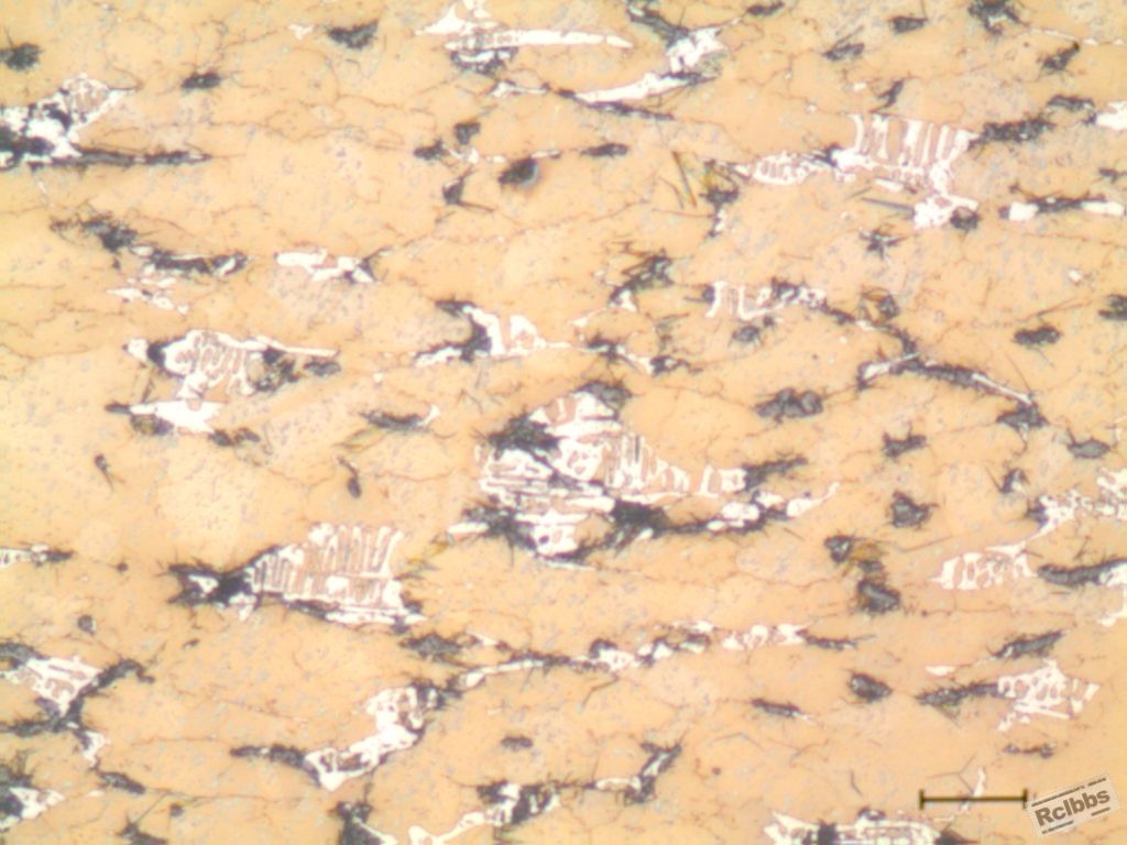s3-200-50um-01.jpg