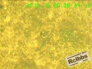 1010201139b85d0eb34ad04a8f.jpg