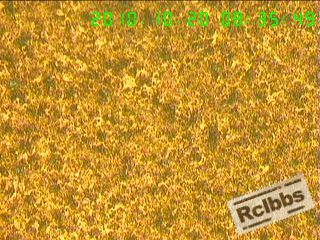 1010201139fa27151f22fe0f34.jpg