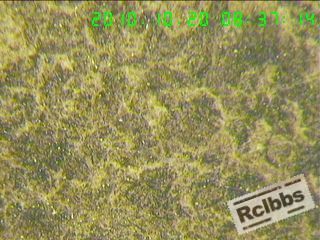 101020113823103934ebcc62d2.jpg