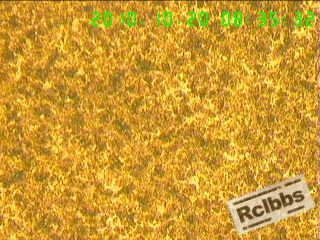 101020113779af2b936707e540.jpg