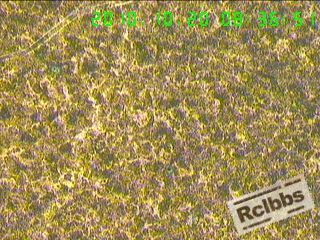 10102011392ccbbf9b62b867f4.jpg