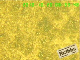 101020113888c6867a15de98d0.jpg