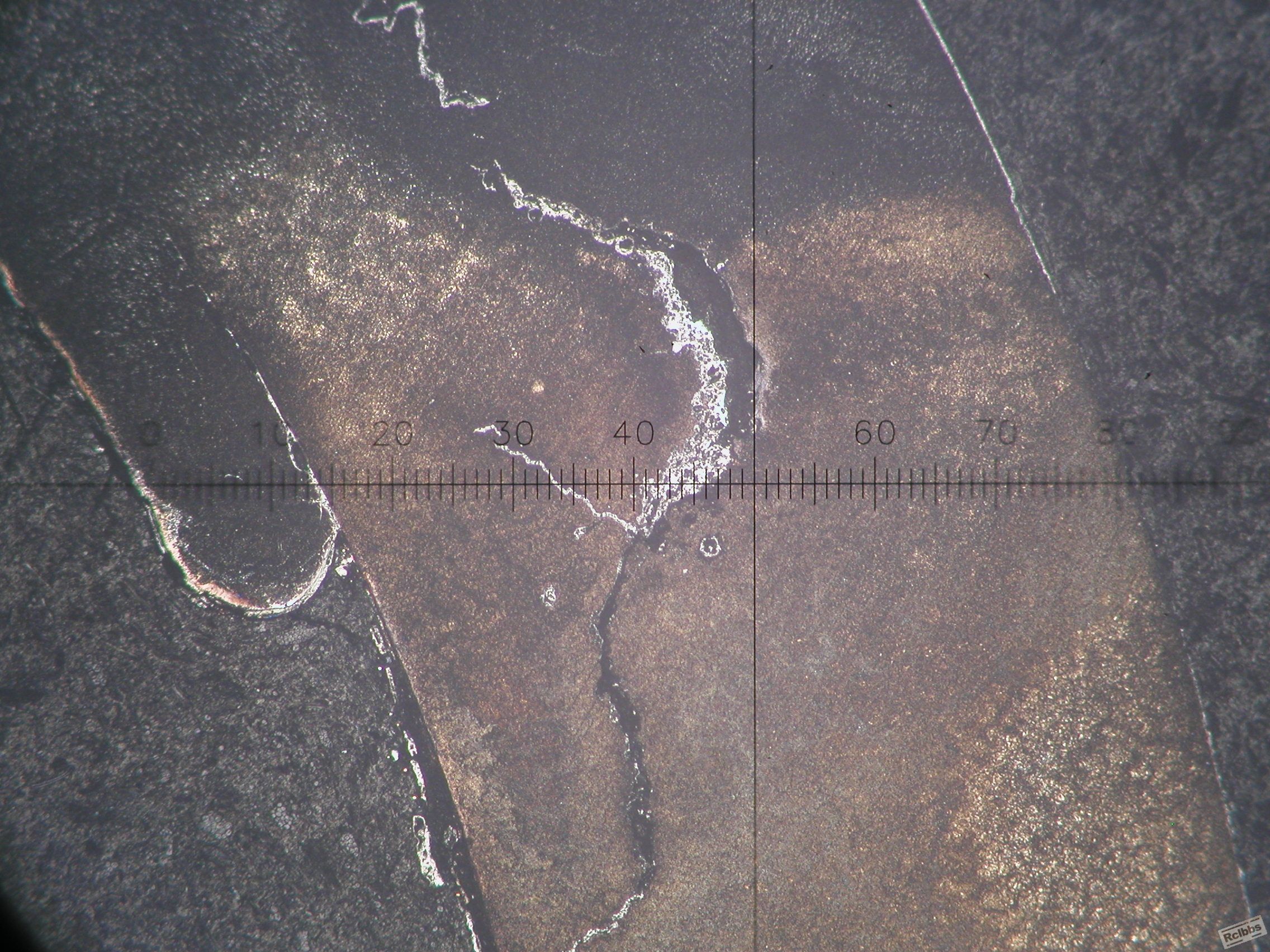 P1010041.JPG