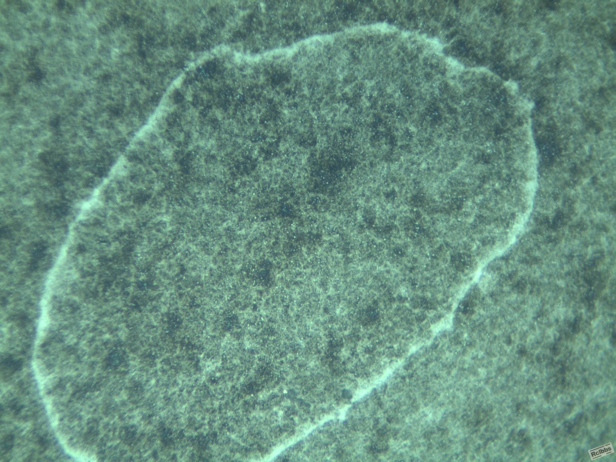400X