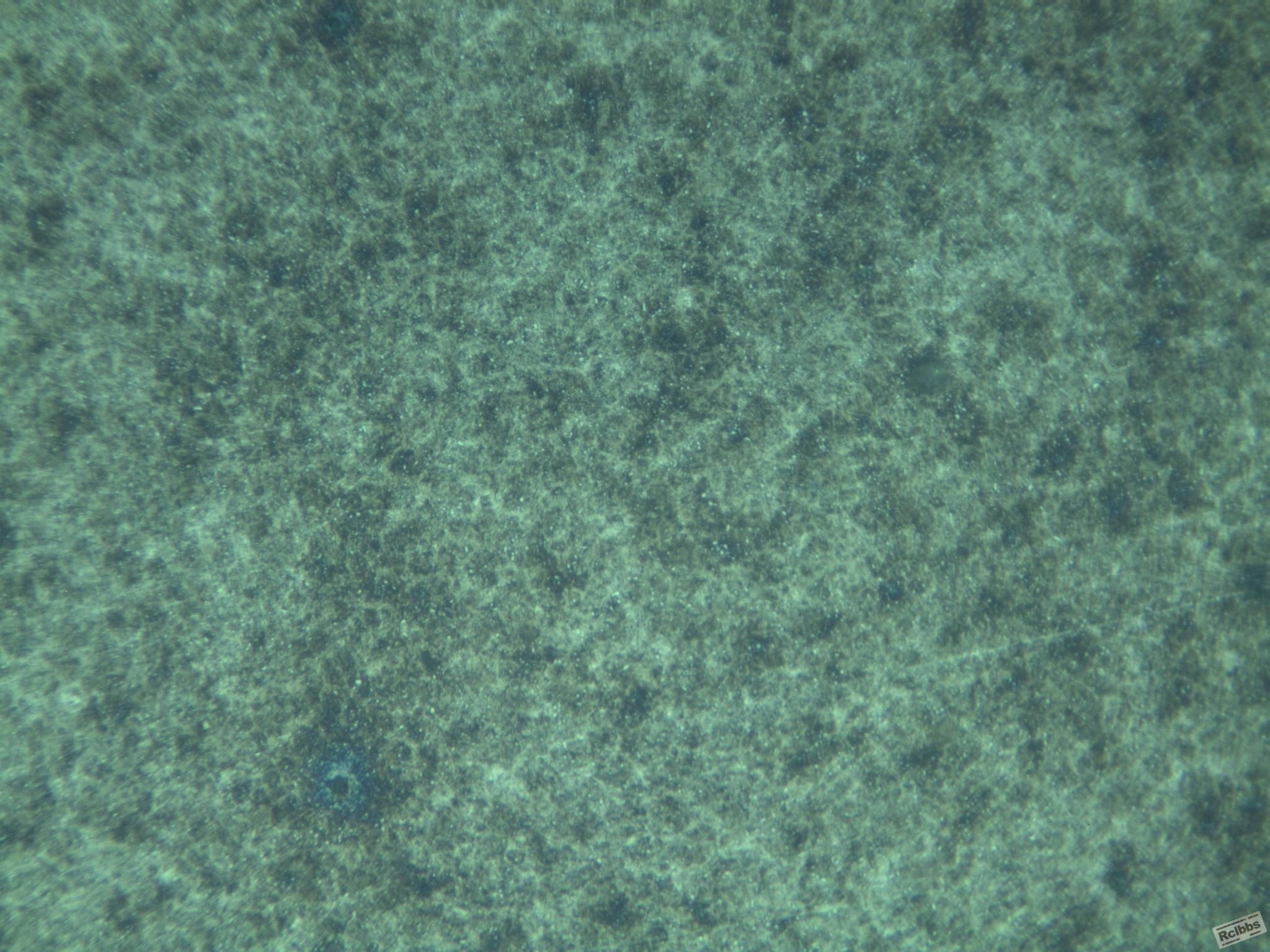 400X
