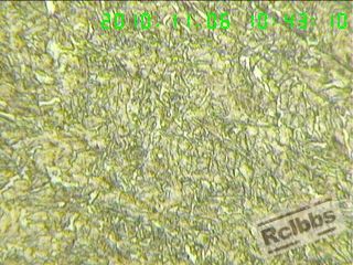 4010.jpg