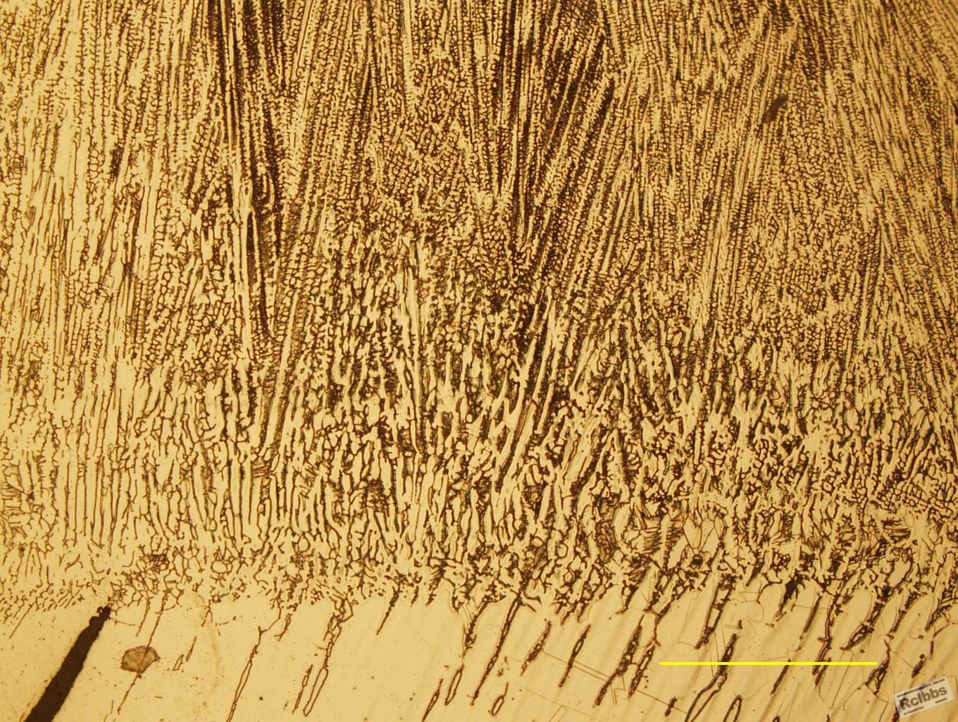 不锈钢焊缝200X（2）.jpg
