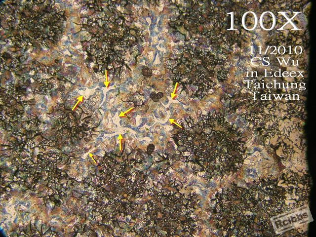 PB065101.jpg