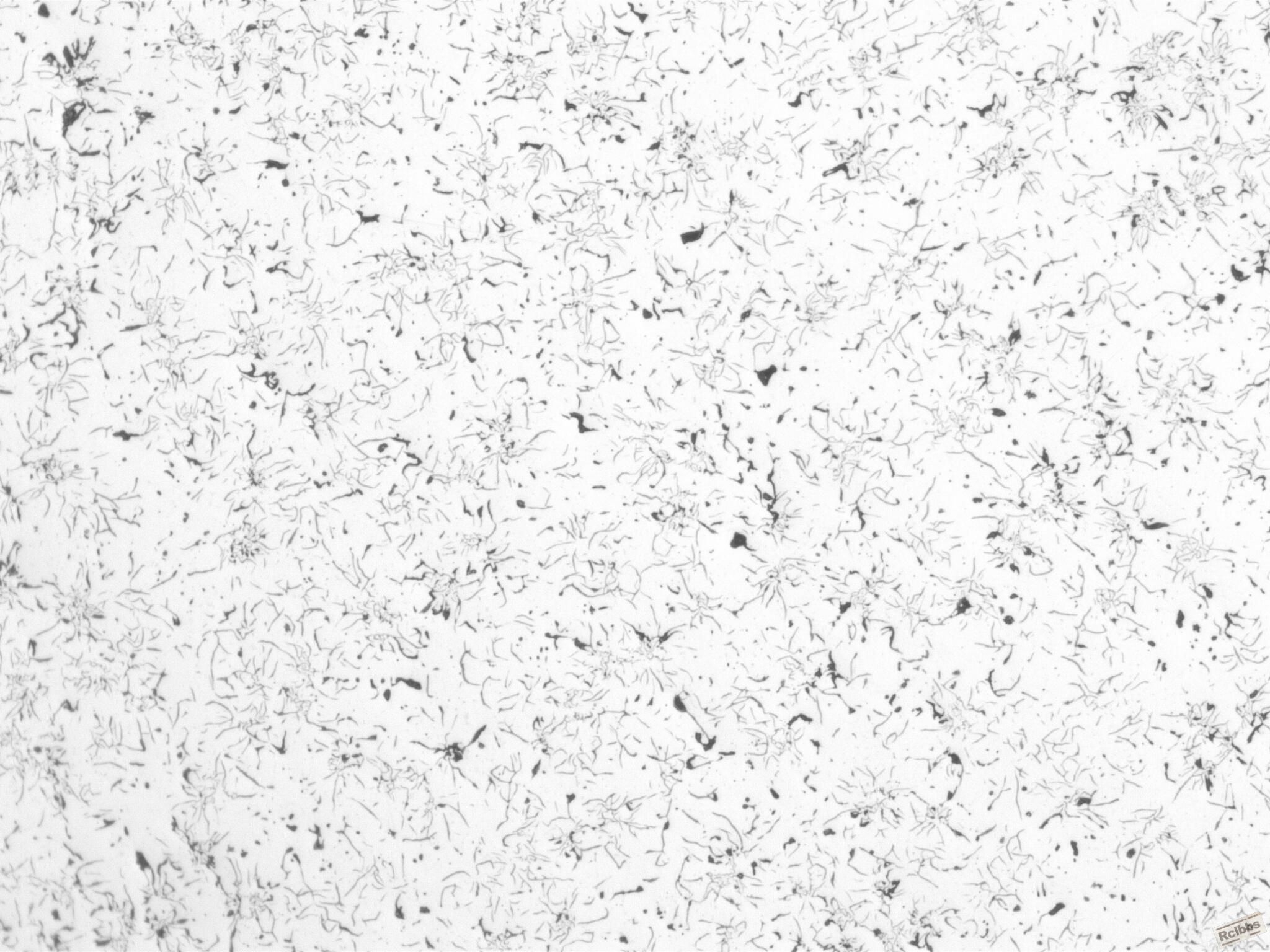 1001108_03.JPG