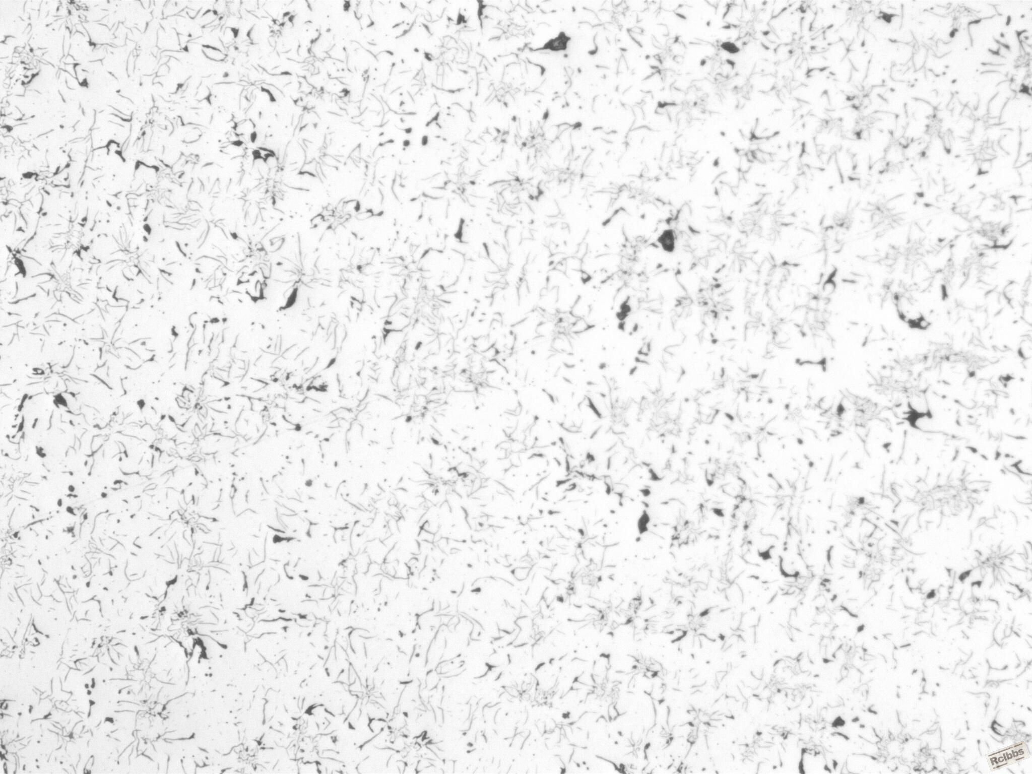 1001108_02.JPG