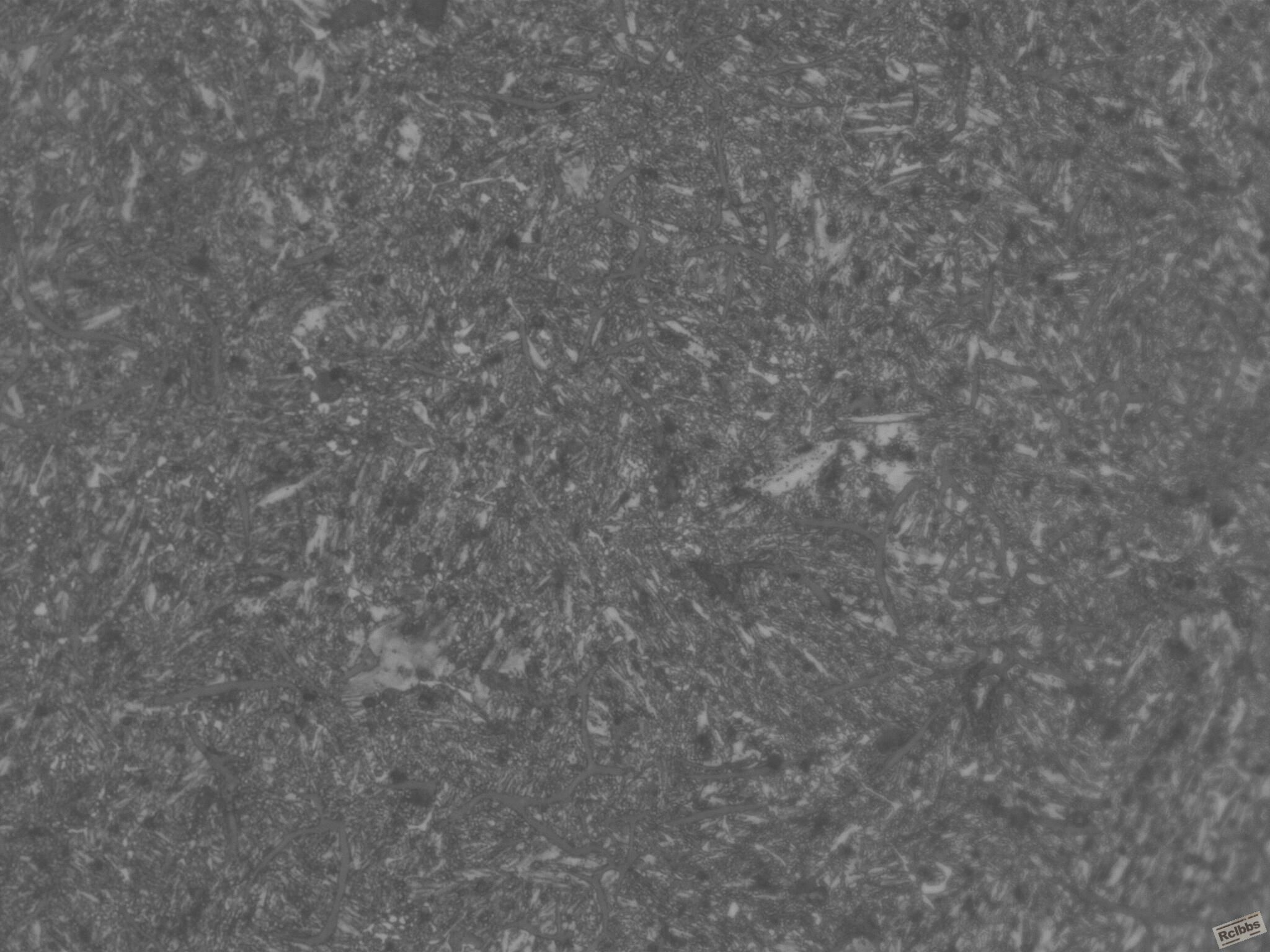 1001108_023.JPG