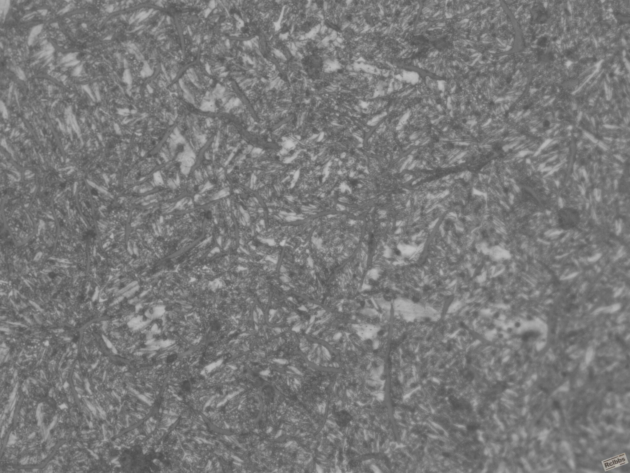 1001108_025.JPG