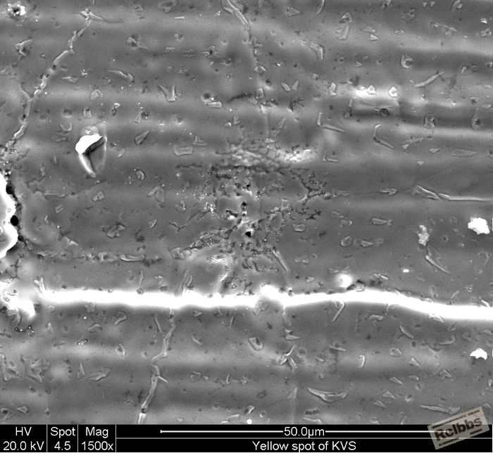 nEO_IMG_yellow spot 1500X.jpg