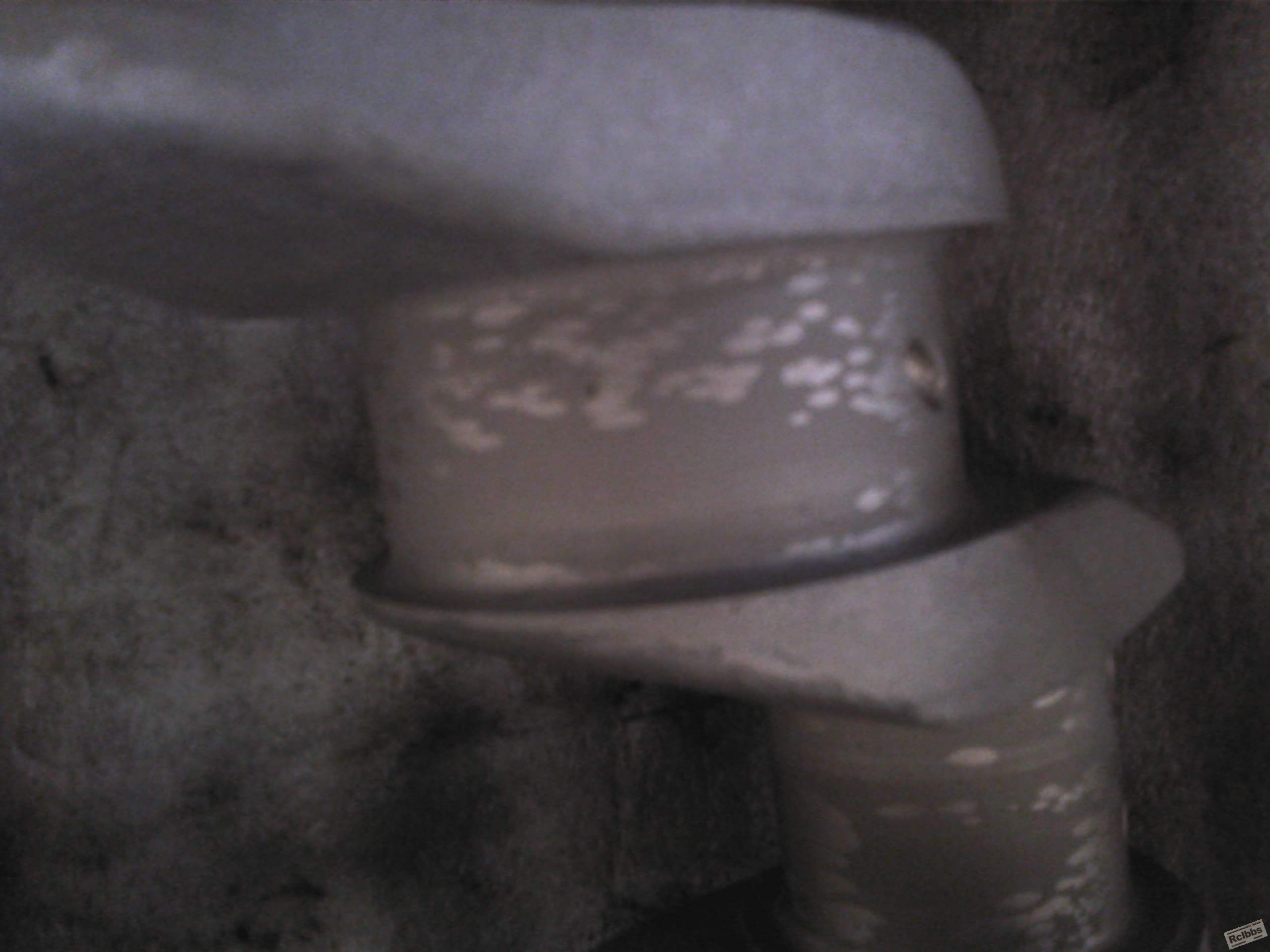 2010-11-12 08.54.09.jpg