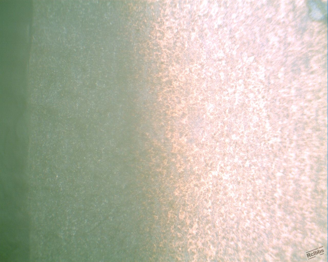 裂纹附近2-100X.jpg
