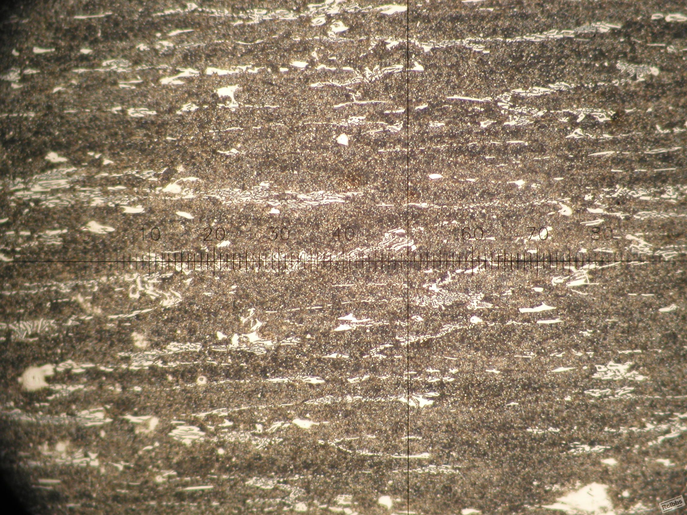P1010012.JPG
