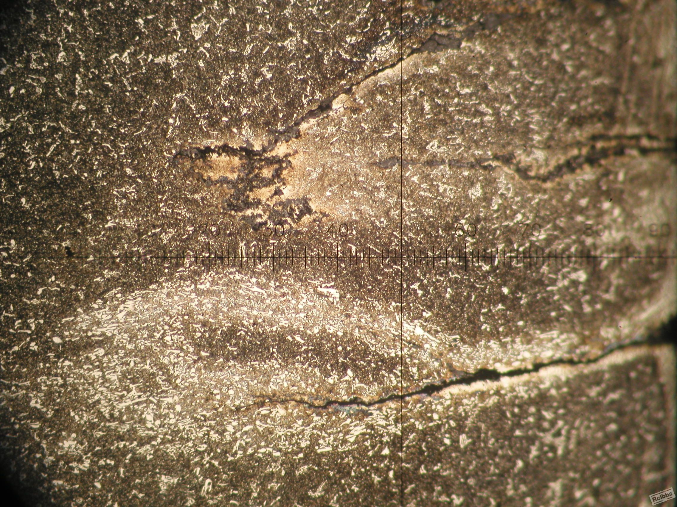 P1010007.JPG