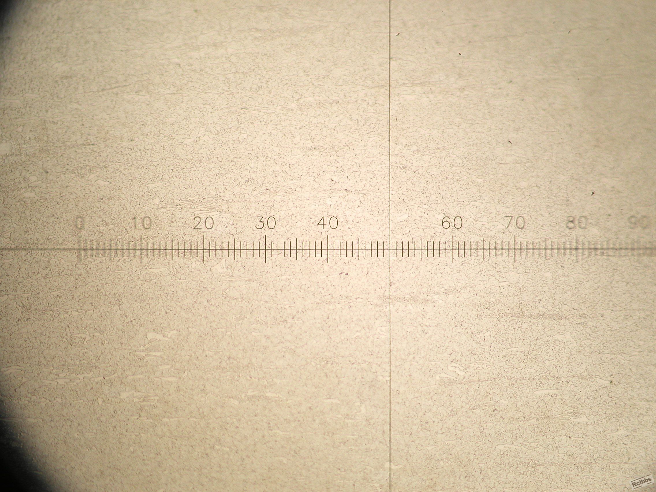 P1010006.JPG