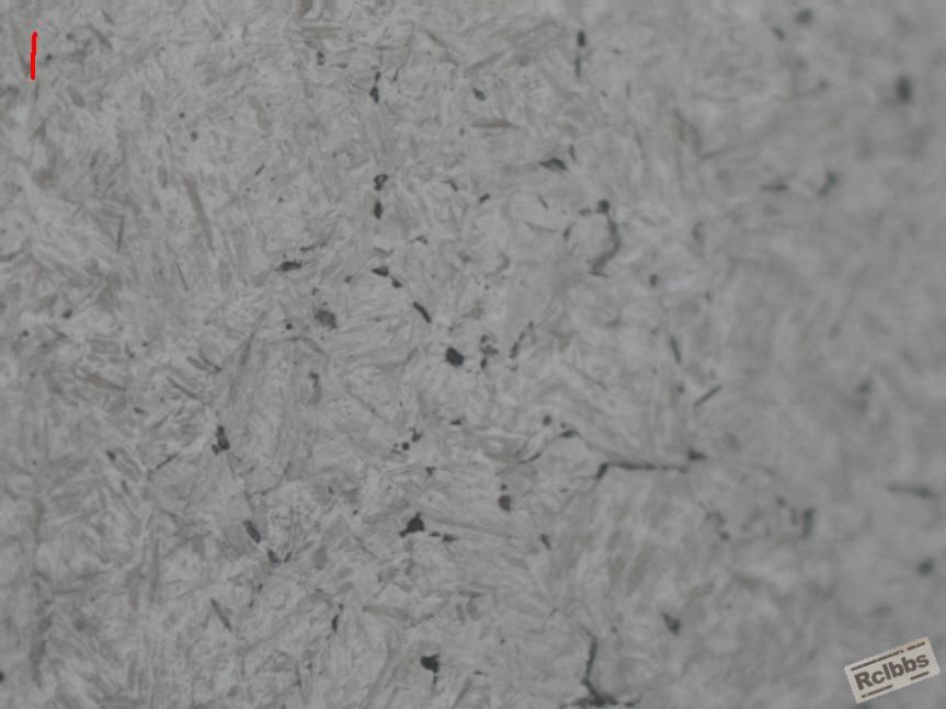 image2494.jpg