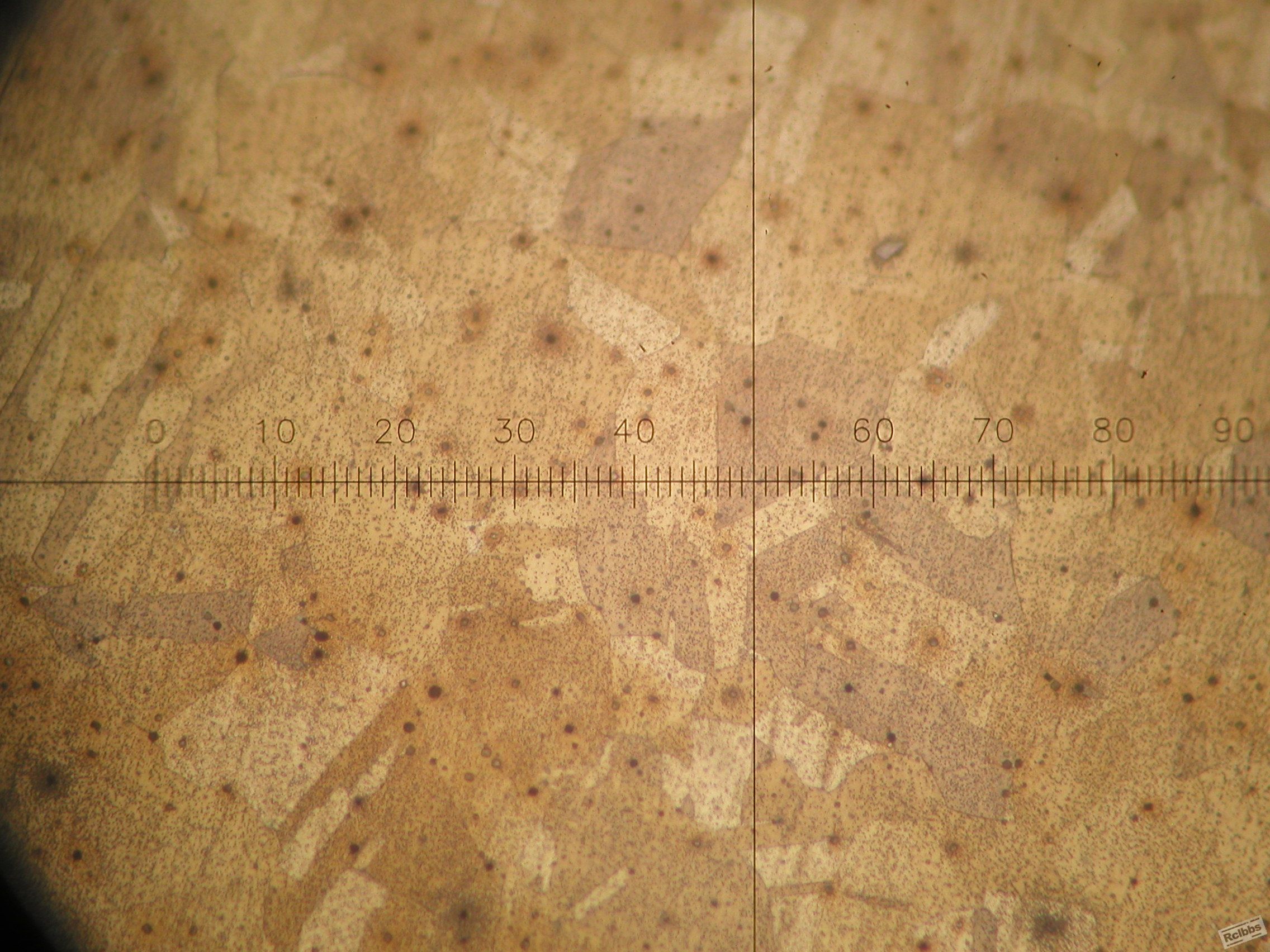 P1010009.JPG