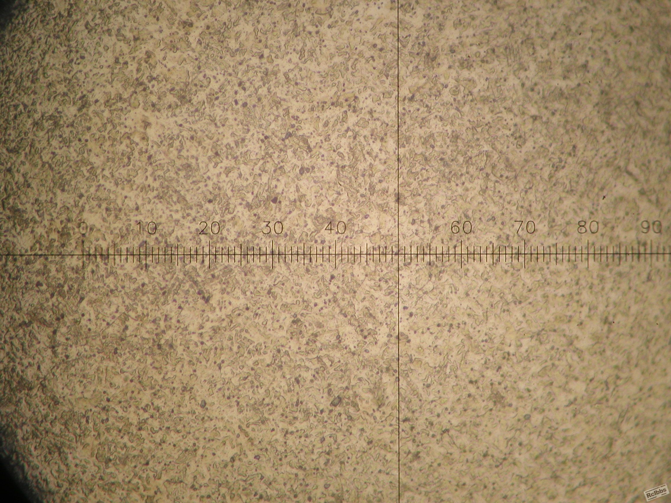 P1010013.JPG