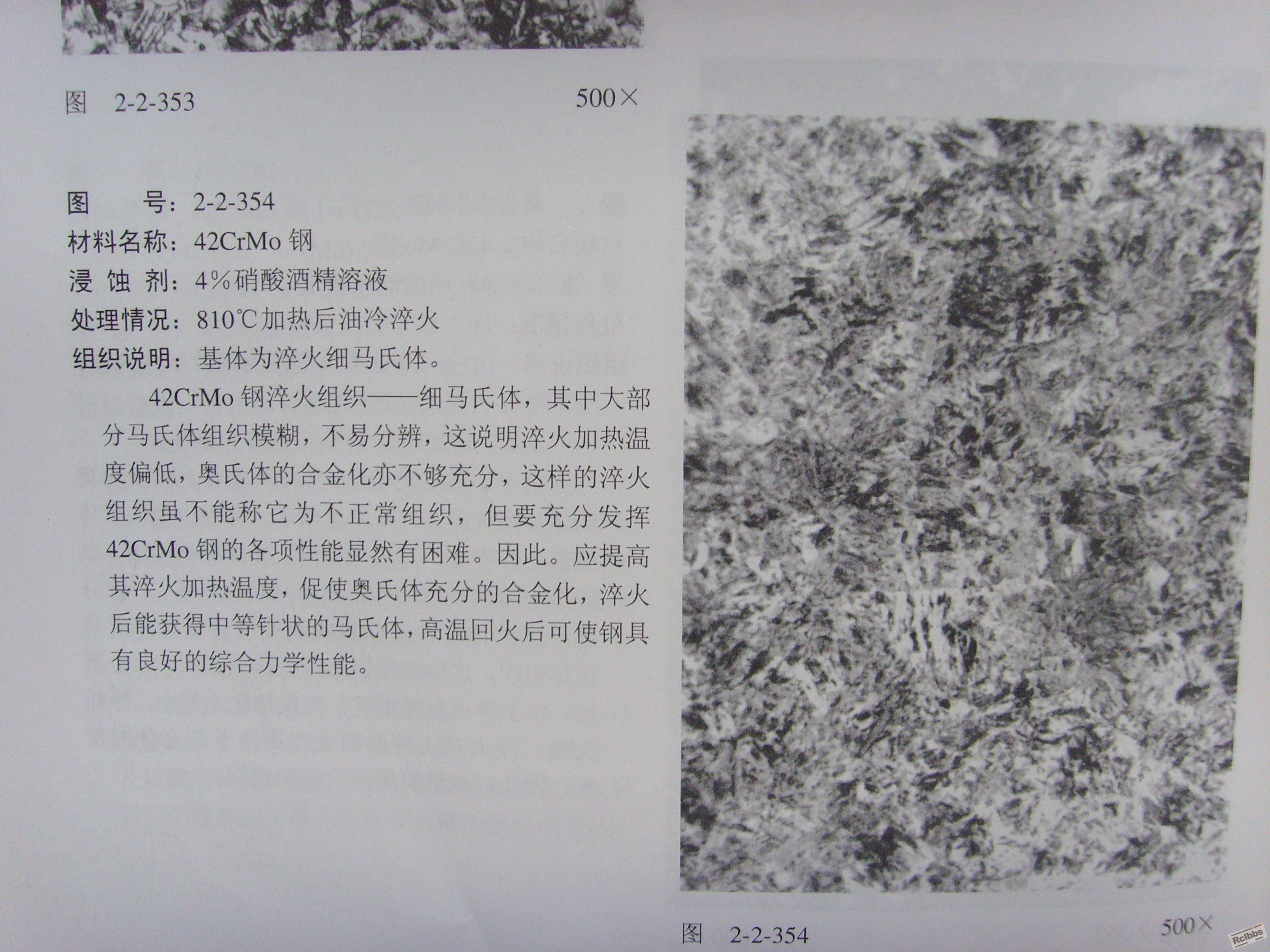 SSL21182.JPG
