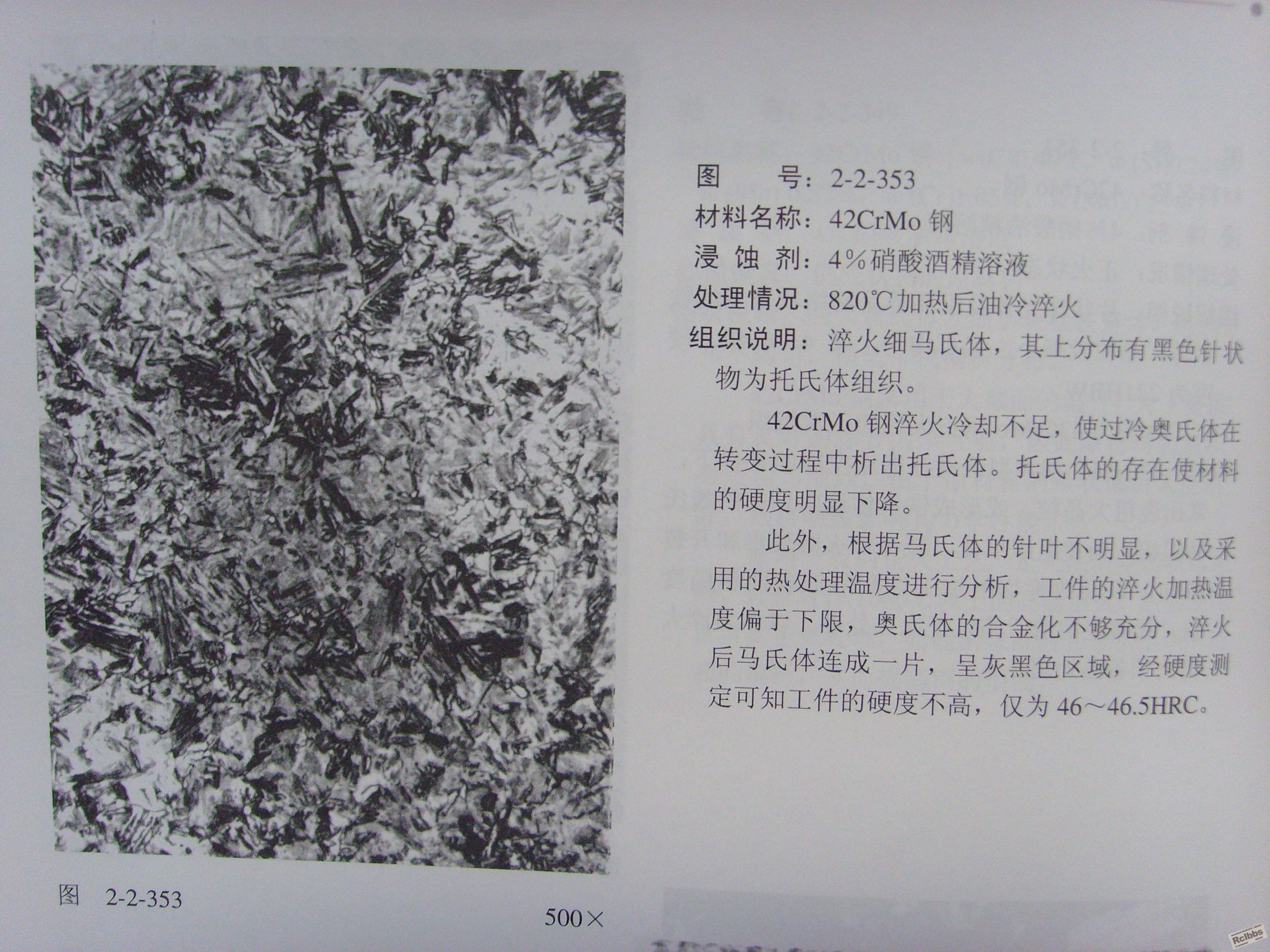 SSL21181.JPG