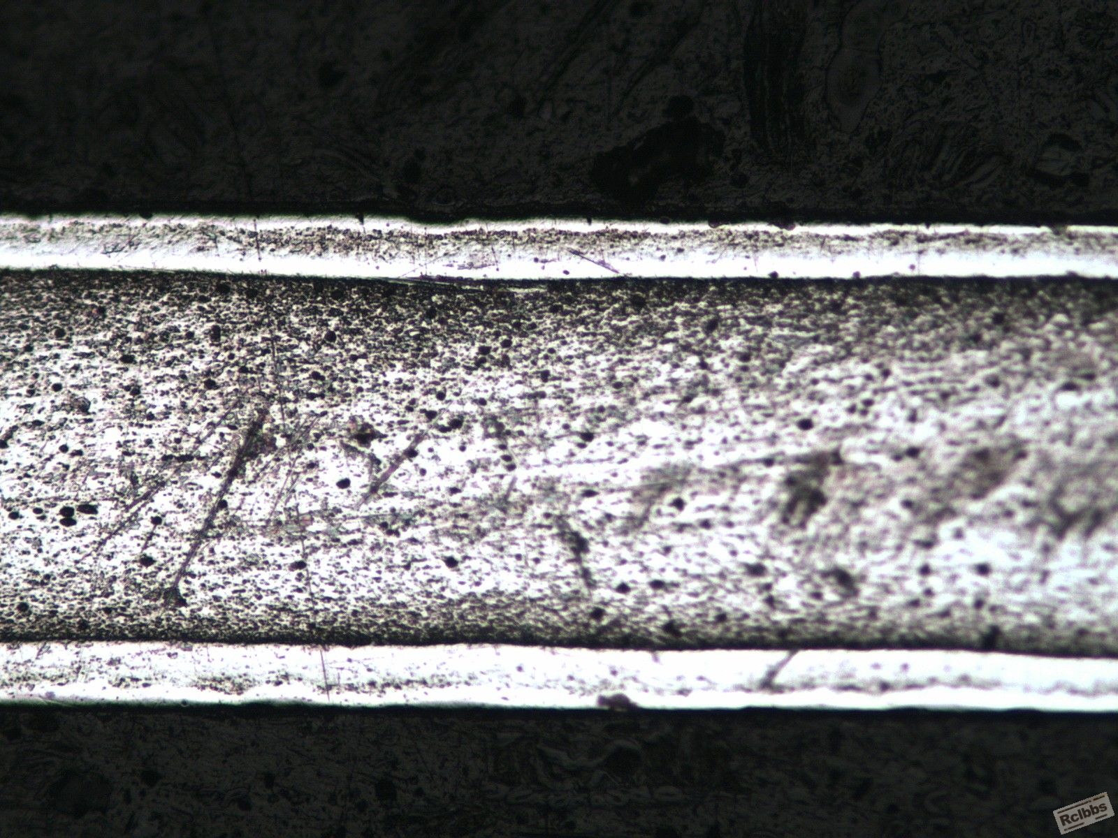ECH50X0344IMG.jpg