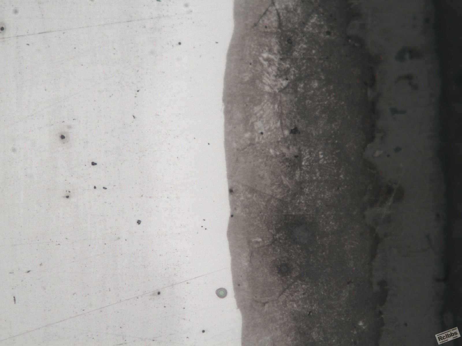 ECH20X2157IMG.jpg