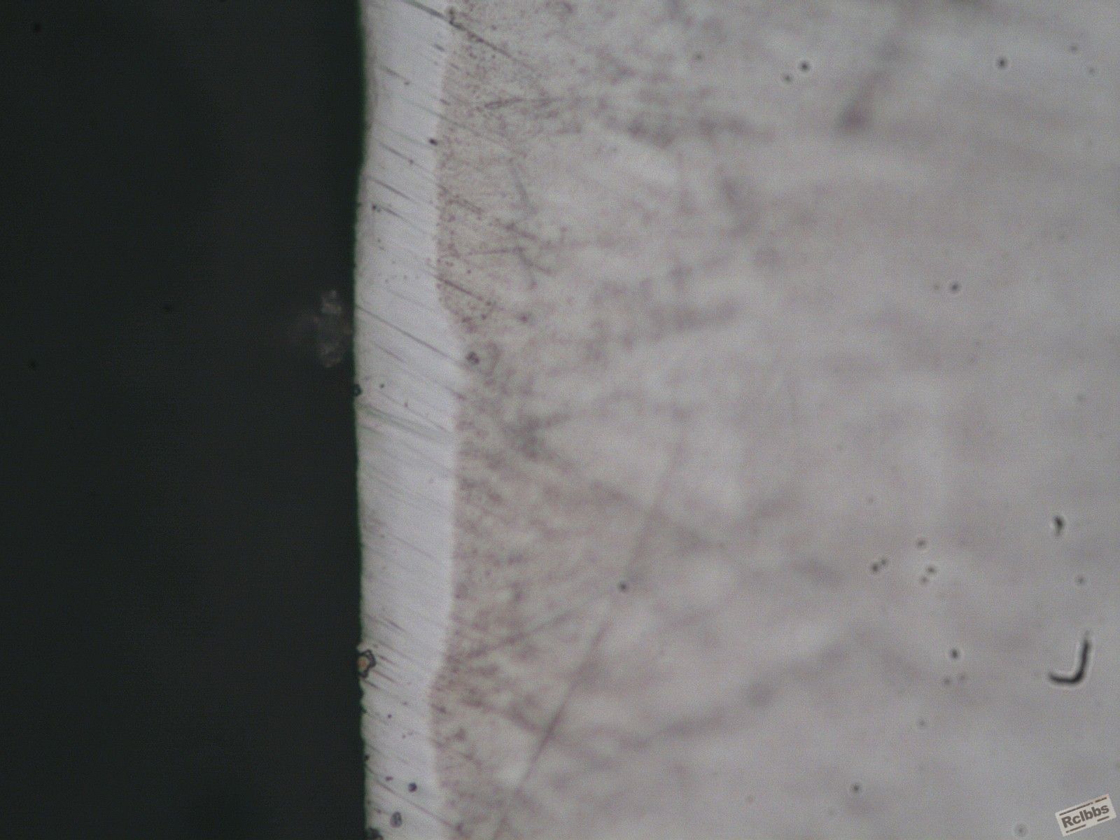 ECH50X7021IMG.jpg